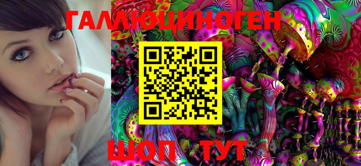 Галлюциногенные грибы Cubensis Малгобек