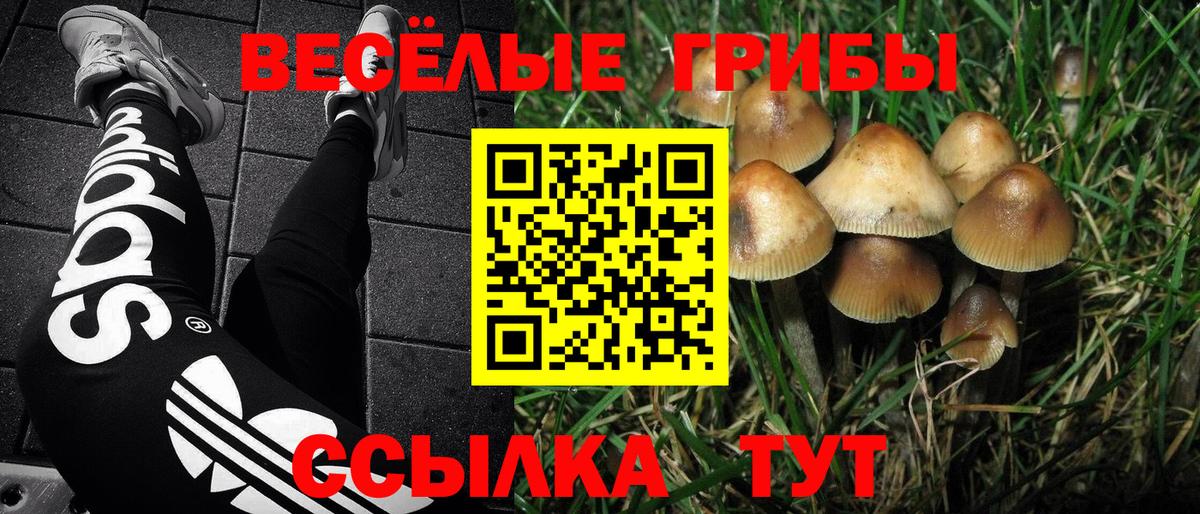Псилоцибиновые грибы Magic Shrooms  Галлюциногенные грибы Cubensis  Вход с VPN  Малгобек 